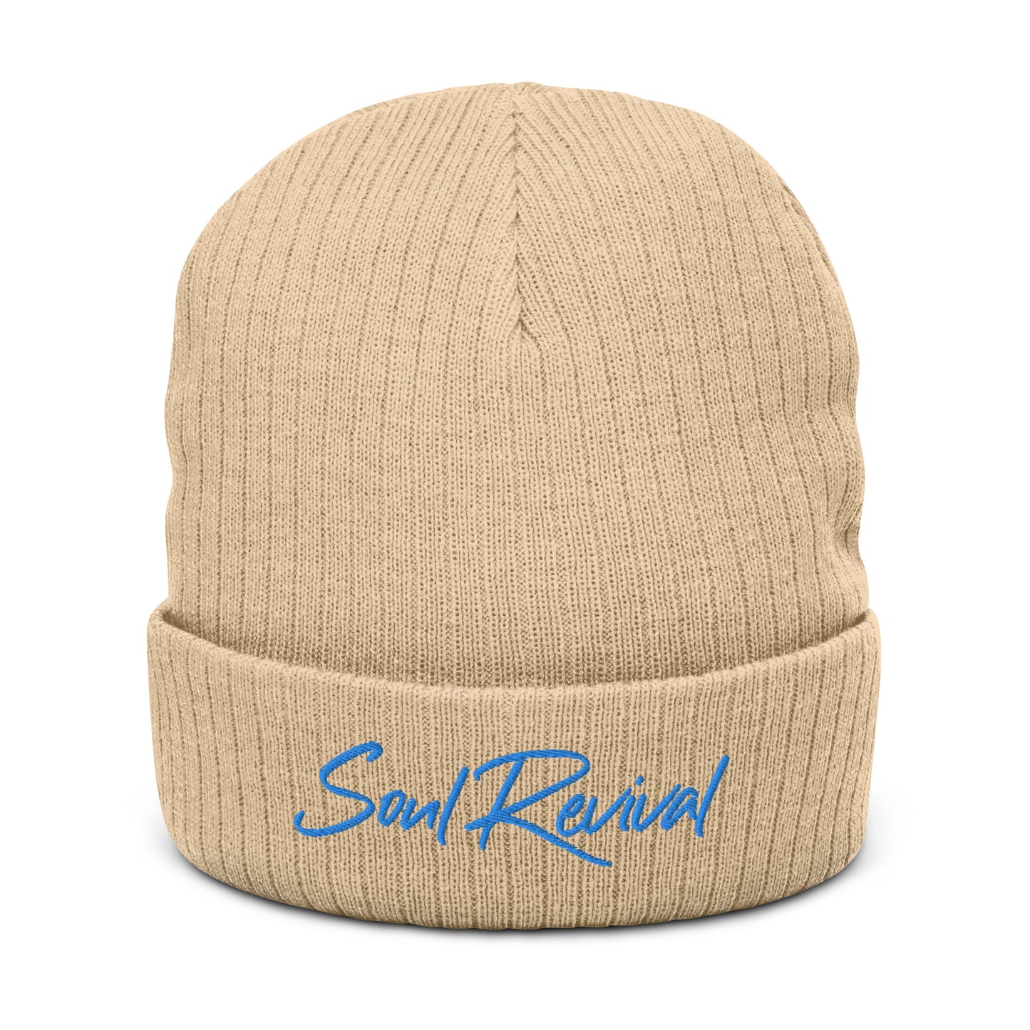 Soul Revival Baby Blue Embroidered Ribbed knit beanie