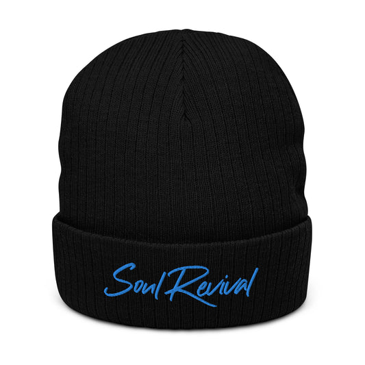 Soul Revival Baby Blue Embroidered Ribbed knit beanie